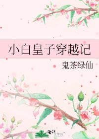 小白皇子穿越記